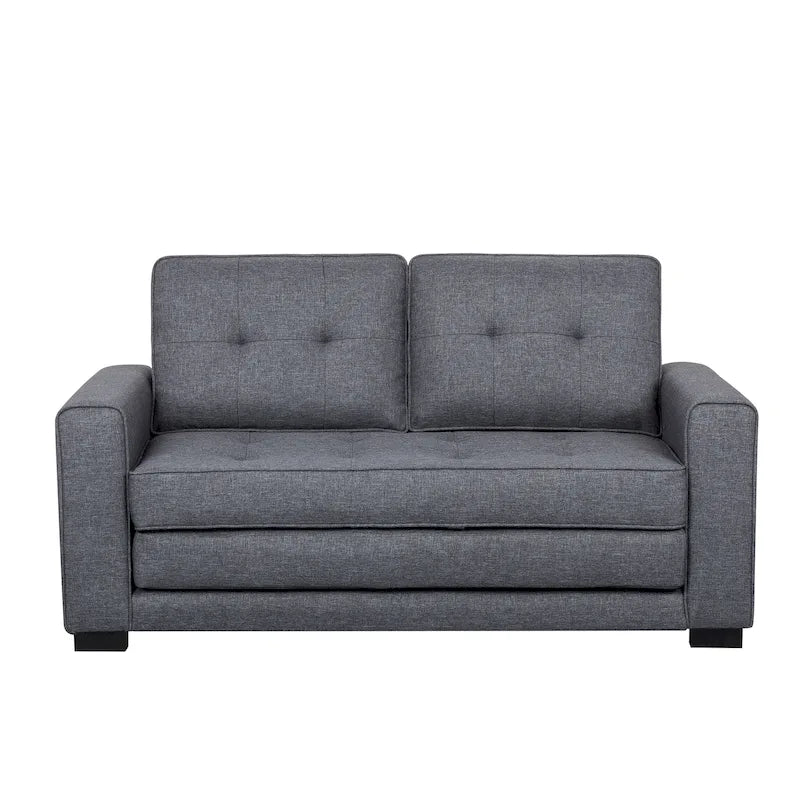 Daisy Modern Fabric Loveseat and Sofa Bed