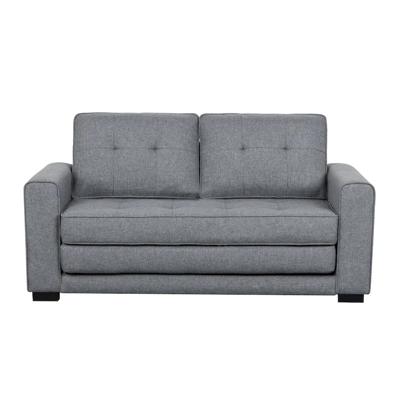 Daisy Modern Fabric Loveseat and Sofa Bed