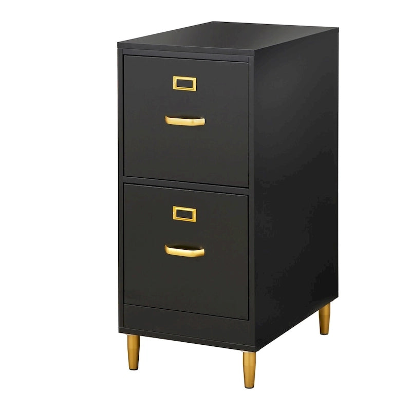 2-Drawer File Cabinet